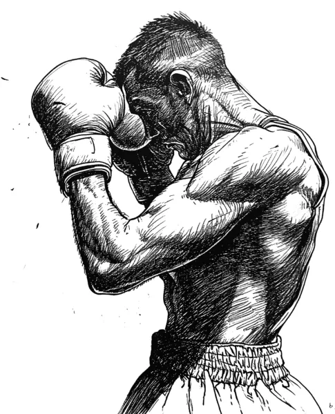 Bleistiftillustration von Boxer